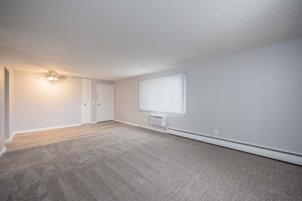 Living Room / Dining Room / Entrance