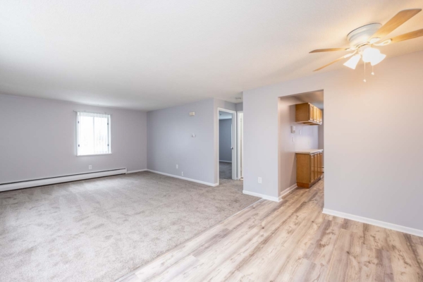 Living Room / Dining Room / Entrance